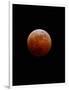 Lunar Eclipse-Alan Diaz-Framed Photographic Print