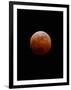 Lunar Eclipse-Alan Diaz-Framed Photographic Print