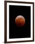 Lunar Eclipse-Alan Diaz-Framed Photographic Print