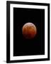 Lunar Eclipse-Alan Diaz-Framed Photographic Print