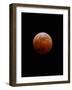 Lunar Eclipse-Alan Diaz-Framed Photographic Print