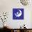 Lunar Folie, 2016-Neale Osborne-Stretched Canvas displayed on a wall