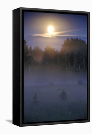 Lunar Halo a Forest with Light Mist, Kemeri National Park, Latvia, June 2009-López-Framed Stretched Canvas