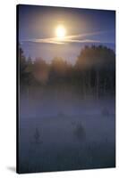 Lunar Halo a Forest with Light Mist, Kemeri National Park, Latvia, June 2009-López-Stretched Canvas