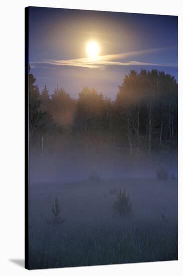 Lunar Halo a Forest with Light Mist, Kemeri National Park, Latvia, June 2009-López-Stretched Canvas