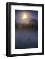 Lunar Halo a Forest with Light Mist, Kemeri National Park, Latvia, June 2009-López-Framed Photographic Print