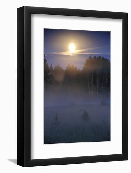 Lunar Halo a Forest with Light Mist, Kemeri National Park, Latvia, June 2009-López-Framed Photographic Print