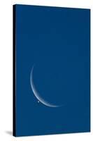 Lunar Occultation of Venus-David Nunuk-Stretched Canvas