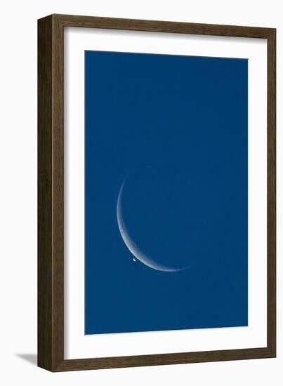 Lunar Occultation of Venus-David Nunuk-Framed Photographic Print