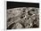 Lunar Surface-null-Framed Photographic Print