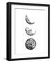 Lunar-Hanna Lee Tidd-Framed Photographic Print