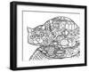 Lunch Cat-Oxana Zaika-Framed Giclee Print