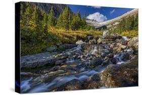 Lunch Creek with Pollock Mountain in Glacier National Park, Montana, USA-Chuck Haney-Stretched Canvas