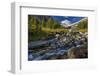 Lunch Creek with Pollock Mountain in Glacier National Park, Montana, USA-Chuck Haney-Framed Photographic Print