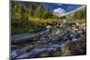 Lunch Creek with Pollock Mountain in Glacier National Park, Montana, USA-Chuck Haney-Mounted Photographic Print