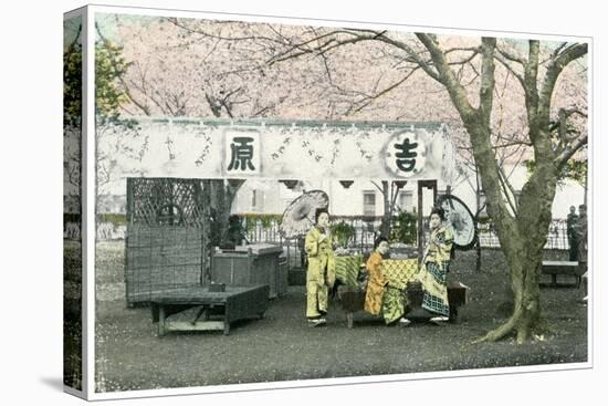 Lunch Stand in a Public Park, Japan, 1904-null-Stretched Canvas