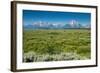 Lunch Tree Hill, Grand Teton National Park, Wyoming, Usa.-Roddy Scheer-Framed Photographic Print