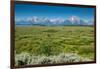 Lunch Tree Hill, Grand Teton National Park, Wyoming, Usa.-Roddy Scheer-Framed Photographic Print