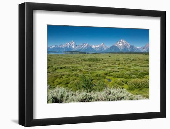 Lunch Tree Hill, Grand Teton National Park, Wyoming, Usa.-Roddy Scheer-Framed Photographic Print