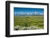 Lunch Tree Hill, Grand Teton National Park, Wyoming, Usa.-Roddy Scheer-Framed Photographic Print