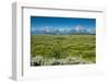 Lunch Tree Hill, Grand Teton National Park, Wyoming, Usa.-Roddy Scheer-Framed Photographic Print