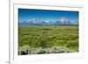 Lunch Tree Hill, Grand Teton National Park, Wyoming, Usa.-Roddy Scheer-Framed Photographic Print