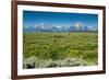 Lunch Tree Hill, Grand Teton National Park, Wyoming, Usa.-Roddy Scheer-Framed Photographic Print