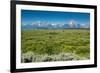 Lunch Tree Hill, Grand Teton National Park, Wyoming, Usa.-Roddy Scheer-Framed Photographic Print