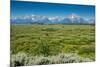 Lunch Tree Hill, Grand Teton National Park, Wyoming, Usa.-Roddy Scheer-Mounted Photographic Print