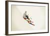 Lunch-Jason Ratliff-Framed Giclee Print