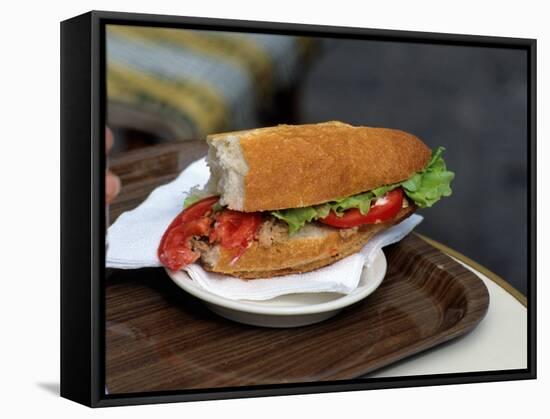 Lunchtime Sandwich, Paris, France-David Barnes-Framed Stretched Canvas