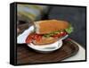 Lunchtime Sandwich, Paris, France-David Barnes-Framed Stretched Canvas