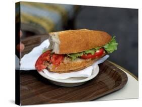 Lunchtime Sandwich, Paris, France-David Barnes-Stretched Canvas