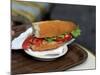 Lunchtime Sandwich, Paris, France-David Barnes-Mounted Photographic Print