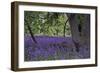 Lund-J.D. Mcfarlan-Framed Photographic Print