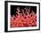 Lung Blood Vessels, SEM-Susumu Nishinaga-Framed Photographic Print