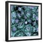 Lung Cells, Fluorescent Micrograph-Dr. Torsten Wittmann-Framed Premium Photographic Print