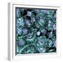 Lung Cells, Fluorescent Micrograph-Dr. Torsten Wittmann-Framed Premium Photographic Print