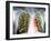 Lung Scarring From Tuberculosis, X-ray-Du Cane Medical-Framed Photographic Print