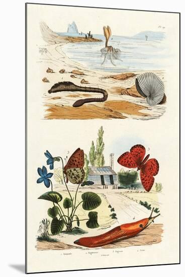 Lungworm, 1833-39-null-Mounted Giclee Print