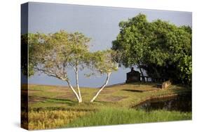 Lunuganga, Sri Lanka. Country Home of the Late Geoffrey Bawa Now a Boutique Hotel Geoffrey Bawa-Richard Bryant-Stretched Canvas