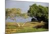 Lunuganga, Sri Lanka. Country Home of the Late Geoffrey Bawa Now a Boutique Hotel Geoffrey Bawa-Richard Bryant-Mounted Photographic Print