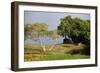 Lunuganga, Sri Lanka. Country Home of the Late Geoffrey Bawa Now a Boutique Hotel Geoffrey Bawa-Richard Bryant-Framed Photographic Print