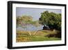 Lunuganga, Sri Lanka. Country Home of the Late Geoffrey Bawa Now a Boutique Hotel Geoffrey Bawa-Richard Bryant-Framed Photographic Print