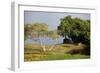 Lunuganga, Sri Lanka. Country Home of the Late Geoffrey Bawa Now a Boutique Hotel Geoffrey Bawa-Richard Bryant-Framed Photographic Print