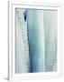 Gramercy White