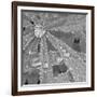 Lupin Dew I B&W-Adam Brock-Framed Giclee Print