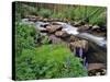 Lupine Along Jacobsen Creek in the Pioneer Range of Montana, USA-Chuck Haney-Stretched Canvas