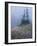 Lupine and Bistort Meadow, Hurricane Ridge, Olympic National Park, Washington, USA-Jamie & Judy Wild-Framed Photographic Print