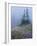 Lupine and Bistort Meadow, Hurricane Ridge, Olympic National Park, Washington, USA-Jamie & Judy Wild-Framed Photographic Print